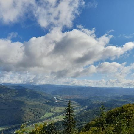 Tisina Tare Villa Bajina Basta Luaran gambar