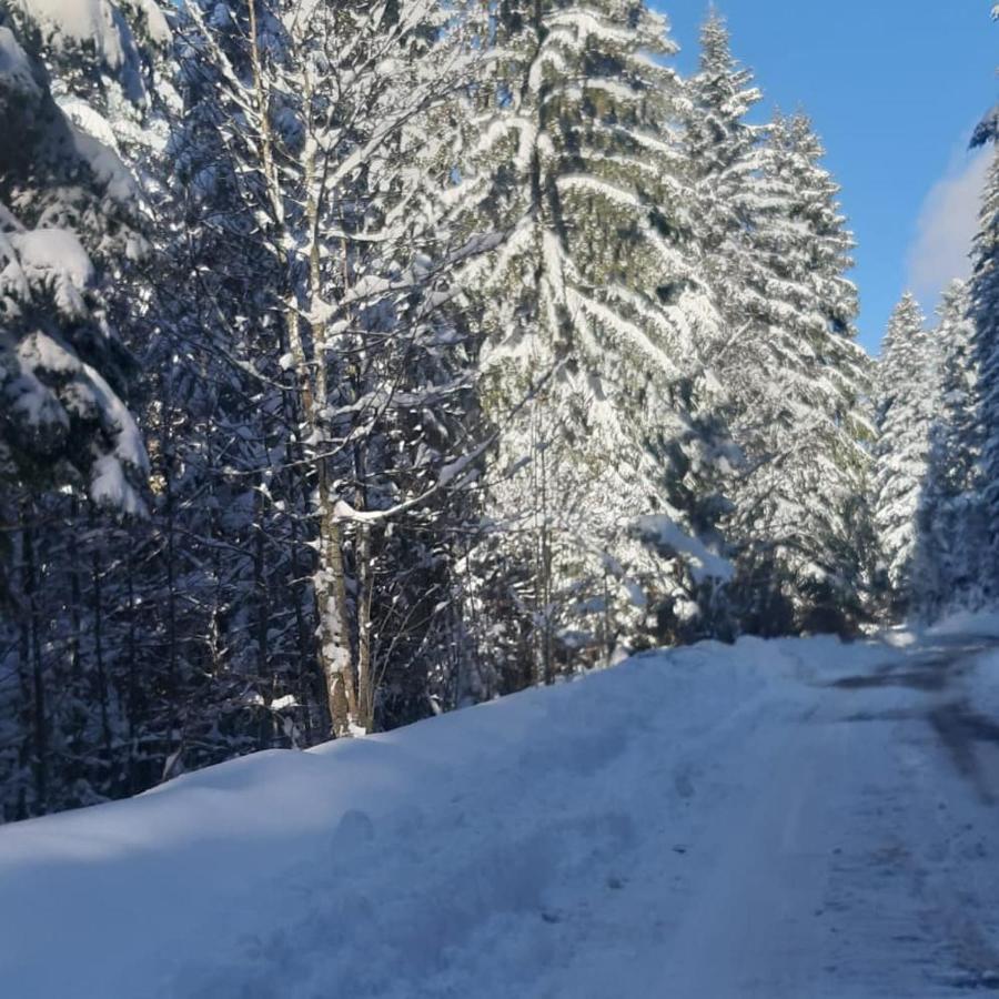 Tisina Tare Villa Bajina Basta Luaran gambar