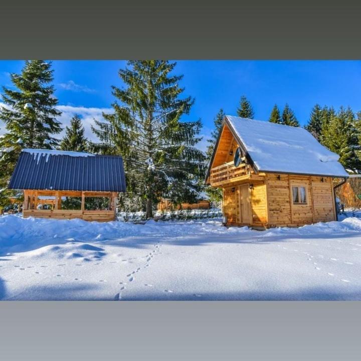 Tisina Tare Villa Bajina Basta Luaran gambar