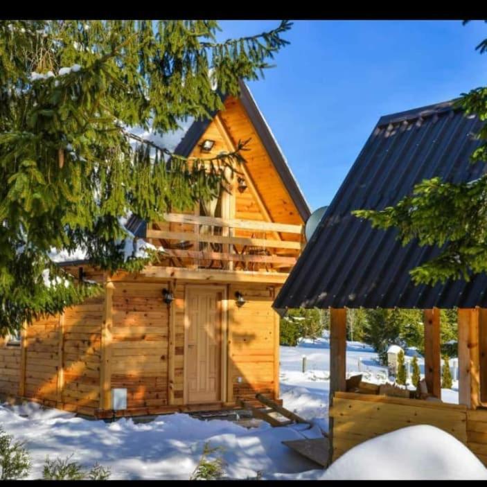 Tisina Tare Villa Bajina Basta Luaran gambar