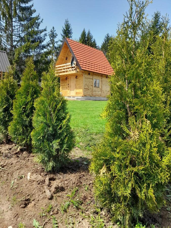 Tisina Tare Villa Bajina Basta Luaran gambar