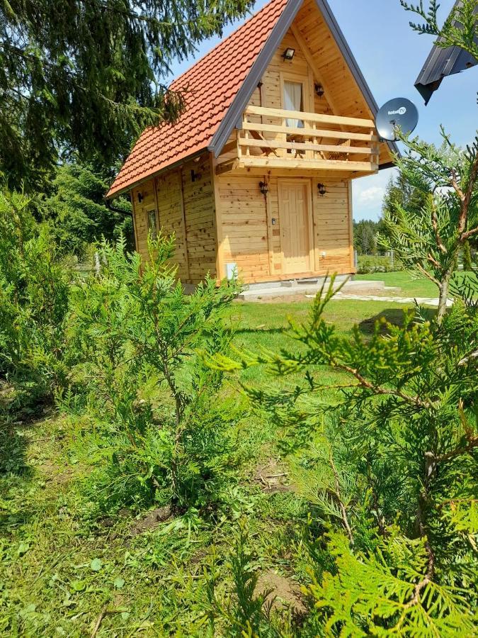 Tisina Tare Villa Bajina Basta Luaran gambar
